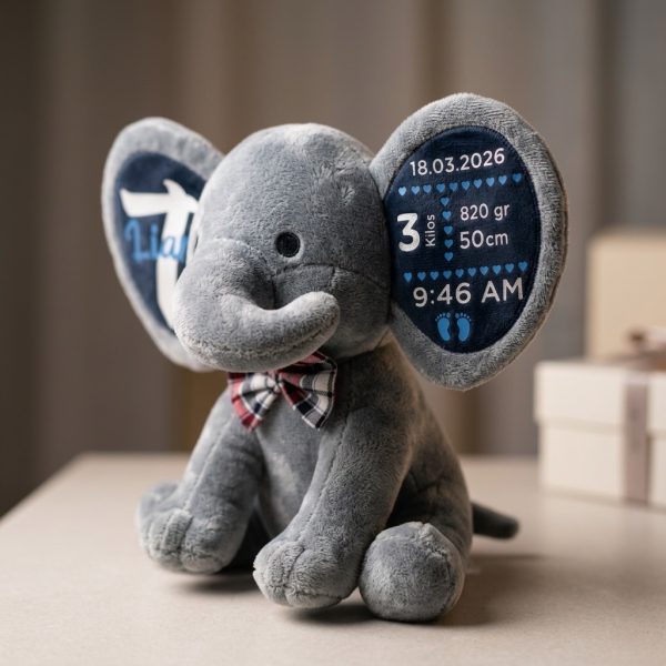 Elphy customized gift for UAE kids